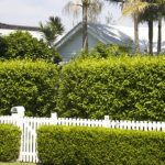 Inspirasi Desain Eksterior Rumah Minimalis 2018