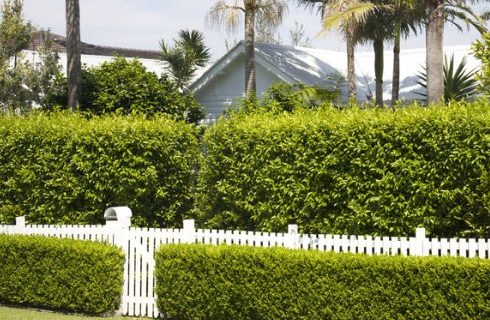 Inspirasi Desain Eksterior Rumah Minimalis 2018