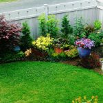 Tanaman Hias Flora untuk Taman Rumah