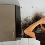 Dampak Buruk Tembok Rumah Berjamur bagi Kesehatan