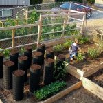 Cara Membuat Kebun Sayur Sederhana Di Rumah