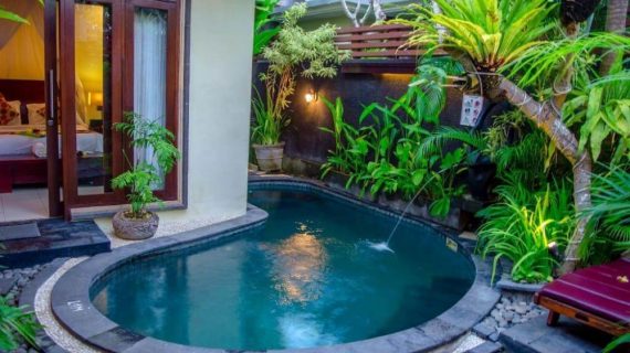 Luas Terbatas? Intip Yuk Ide Kebun Rumah Yang Bisa Dicoba!