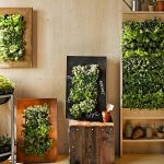 5 Cara Mengatasi Udara Panas dalam Rumah dengan Ampuh