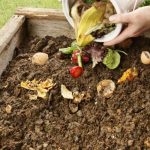 Tips Kurangi Sampah Dirumah dengan Buat Kompos Organik