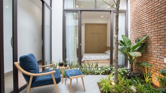 5 Tips Membuat Taman Indoor di Rumah Minimalis
