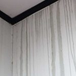 6 Cara Mengatasi Dinding Rembes dan Lembab saat Musim Hujan