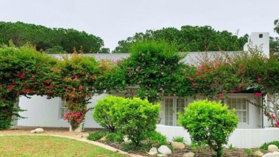 Membuat Taman Minimalis Hemat Energi