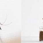 10 Cara Praktis Menjadikan Rumah Anda Bebas Debu dan Serangga