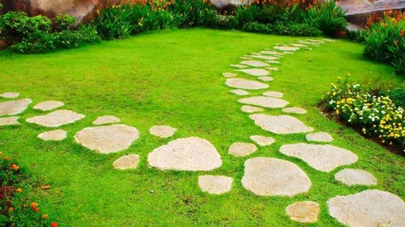 Membuat Taman Minimalis untuk Anak: Pentingnya Berinteraksi dengan Alam