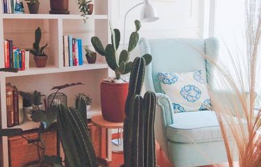 Ruang Buku Nyaman: 5 Tips Menata Ruang Baca di Rumah