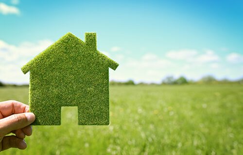 Mengubah Rumah Menjadi Oase Hijau: Tips Sederhana Menciptakan Lingkungan Hidup yang Sehat dan Indah