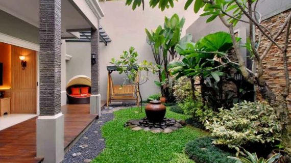 Desain Taman Rumah: 5 Inspirasi Tanaman yang Cocok untuk Mempercantik Halaman Anda