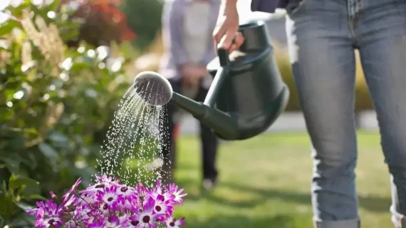 Mengatur Perawatan Taman agar Tetap Hijau dan Sehat Sepanjang Tahun