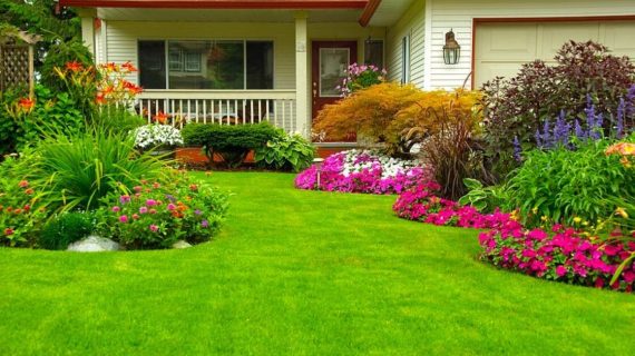 Tips Merawat Taman Kecil di Pekarangan Rumah Agar Selalu Asri