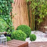 Langkah-Langkah Menata Taman Depan Rumah agar Lebih Menarik