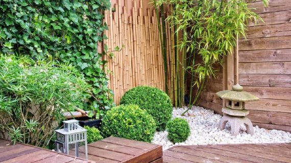 Langkah-Langkah Menata Taman Depan Rumah agar Lebih Menarik