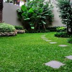 Jenis-Jenis Tanaman yang Cocok untuk Taman Belakang Rumah