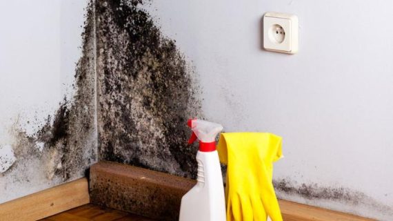 7 Cara Praktis Merawat Rumah agar Bebas dari Lembap dan Jamur