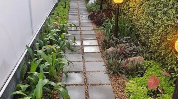 Desain Pekarangan Rumah yang Fungsional dan Estetik
