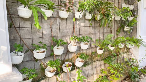 Membuat Vertical Garden untuk Rumah Hemat Ruang