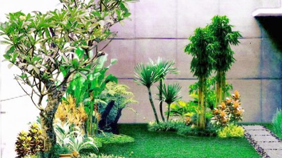 Cara Merawat Taman Rumah Agar Selalu Asri dan Indah