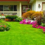 Cara Menata Pekarangan agar Lebih Asri dan Fungsional