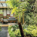 Keindahan dan Manfaat Memiliki Taman Belakang Rumah untuk Keluarga