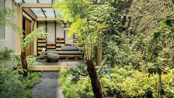 Keindahan dan Manfaat Memiliki Taman Belakang Rumah untuk Keluarga