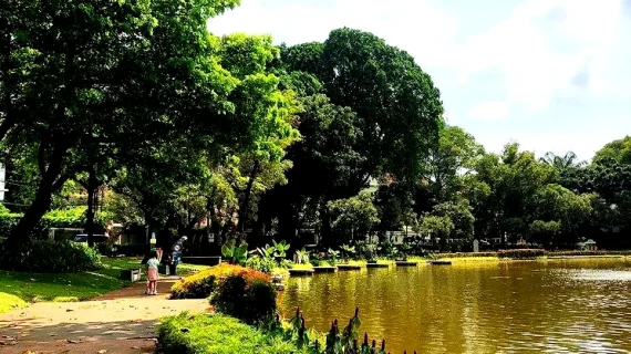 Taman Sebagai Ruang Meditasi: Tempat Menyembuhkan Diri dari Padatnya Kota