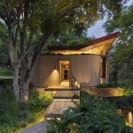 Bunyi Daun dan Angin: Elemen Alam yang Bisa Jadi Terapi di Rumahmu