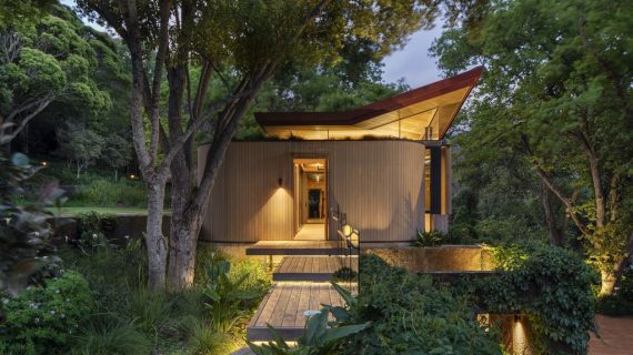 Bunyi Daun dan Angin: Elemen Alam yang Bisa Jadi Terapi di Rumahmu