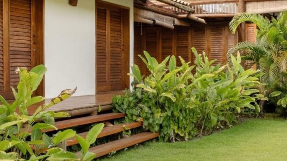 Memadukan Elemen Kayu dan Tanaman untuk Suasana Rumah yang Natural