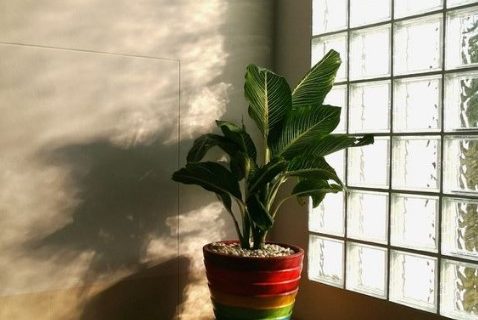 Cara Memasang Glassblock untuk Memaksimalkan Pencahayaan Alami Tanpa Bikin Rumah Panas